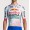 Bekleidung Herren Specialized Red Bull Bora-Hansgrohe 2025 Race trikot-Tdf