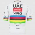 Bekleidung Herren UAE Team Emirates 2025 Magistrale Pissei trikot-Tadej Pogacar