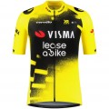 Bekleidung Herren Team Visma Lease a bike 2025 The Wingbeat trikot