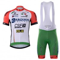 2017 Bardiani csf Fahrradbekleidung Radteamtrikot Kurzarm+Kurz Radhose Kaufen 02A5K
