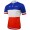 2015 Francaise Des Jeux Fahrradtrikot Radsport F15TM