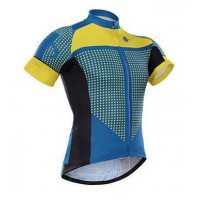 2015 Hincapie Fahrradtrikot Radsport JD5FF