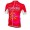 2016 Cofidis Korte mouw JKIBE