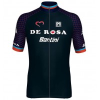 TEAM DE ROSA SANTINI 2018 Fahrradbekleidung Radtrikot US3JM